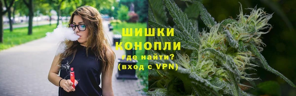 ALPHA-PVP Новозыбков