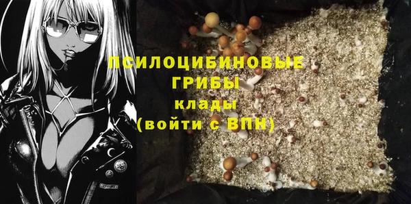 ALPHA-PVP Новозыбков