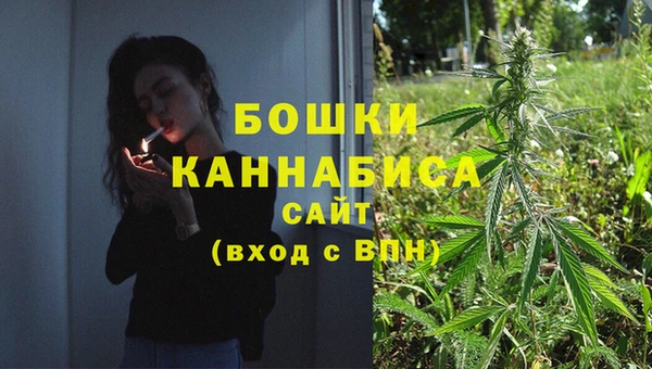 первитин Новодвинск
