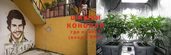 гашиш Новокубанск