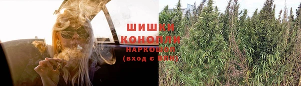 первитин Новодвинск