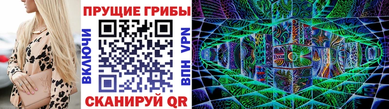 Псилоцибиновые грибы Psilocybine cubensis  Подольск 