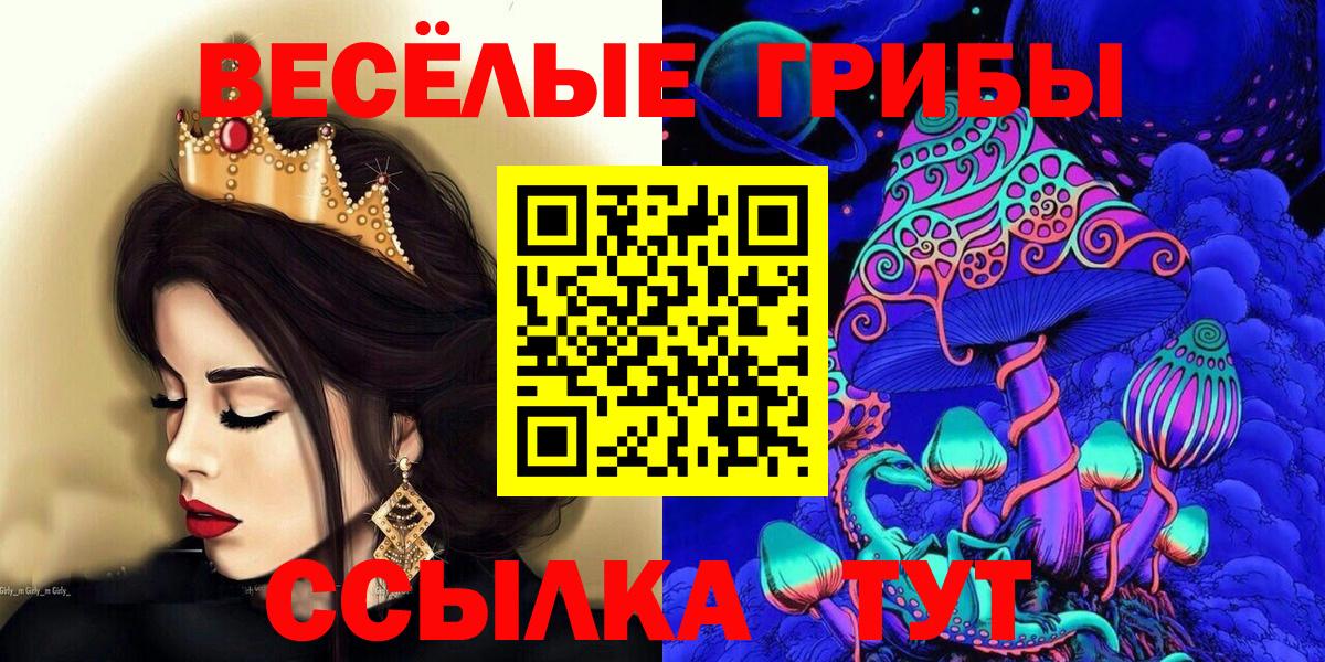 Галлюциногенные грибы GOLDEN TEACHER  Псилоцибиновые грибы Psilocybe  Подольск  Вход с VPN 